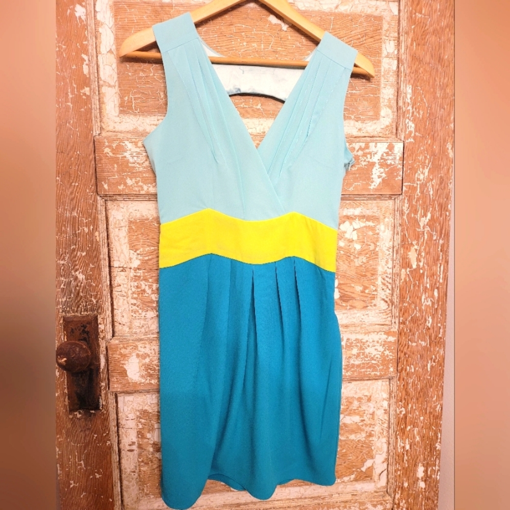 Perfect spring dress with an opening in the back.